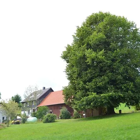 Dielinde Comfortable Holiday Holiday home Poppenhausen